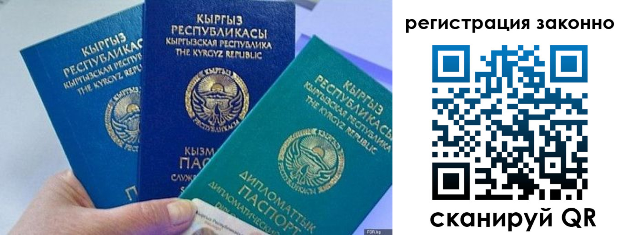 временная регистрация гарантия в Александрове